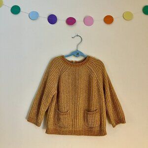 Zara Knit Velour Front Pocket Sweater